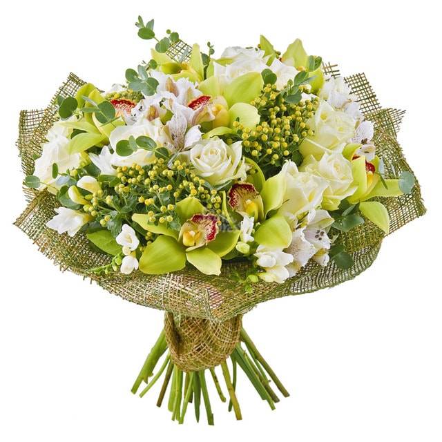 Гармония чувств Гармония чувств